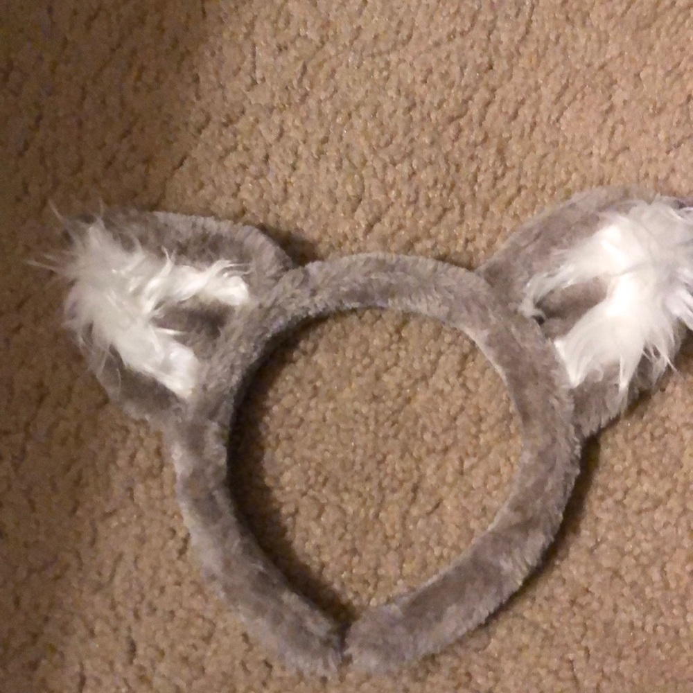 Great Wolf lodge animal ears, Halloween, party